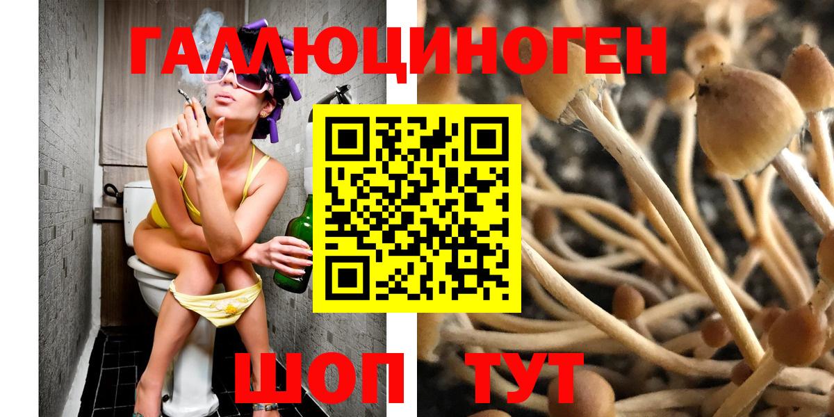 Псилоцибиновые грибы ЛСД Черкесск
