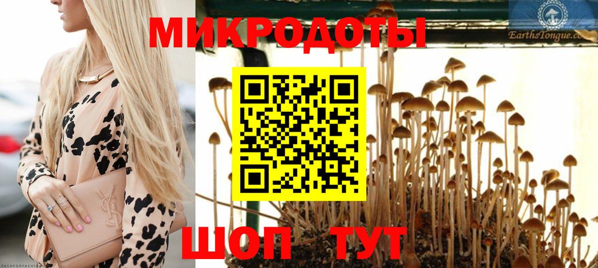 Черкесск  Псилоцибиновые грибы ЛСД  Вход с VPN 